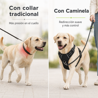 Arnés Antitirones Caminela™ + Correa GRATIS